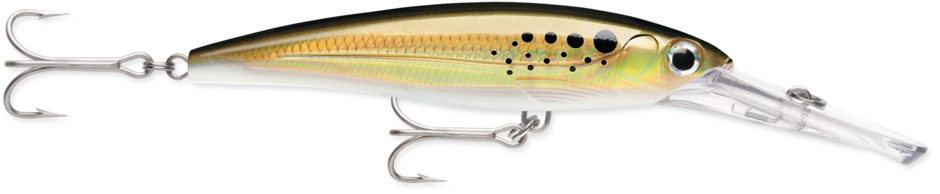 Rapala X-Rap Magnum