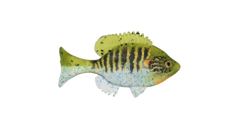 Sudden Impact Suzygill Bluegill