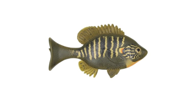 Sudden Impact Suzygill Bluegill