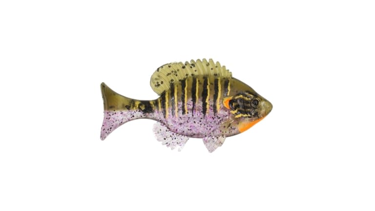 Sudden Impact Suzygill Bluegill