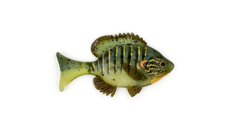 Sudden Impact Suzygill Bluegill